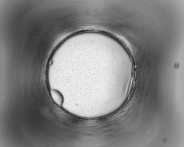 X0000101991279200808151415