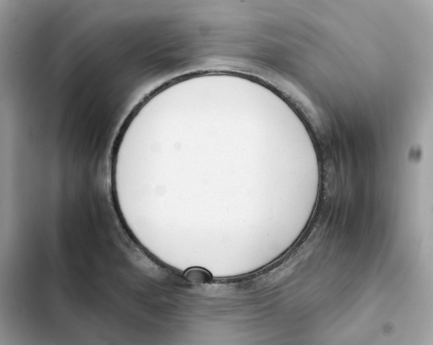 X0000101991280200808151415