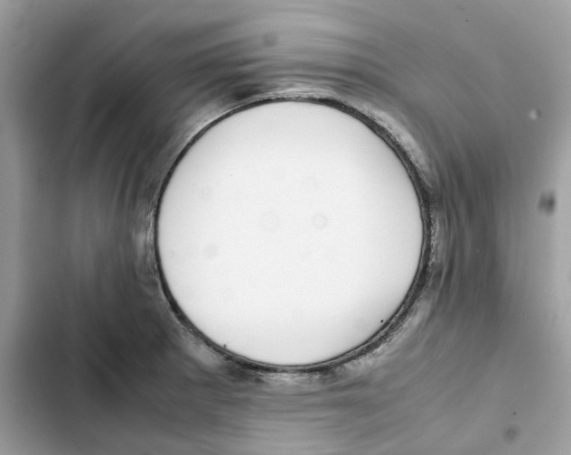 X0000101991281200808151415