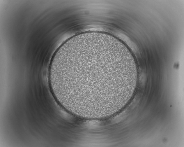 X0000101991282200808151415