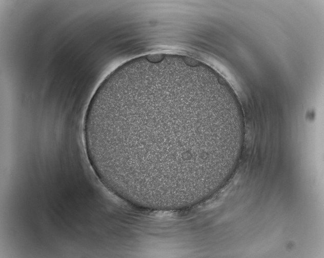 X0000101991283200808151415