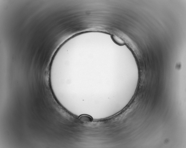 X0000101991284200808151415