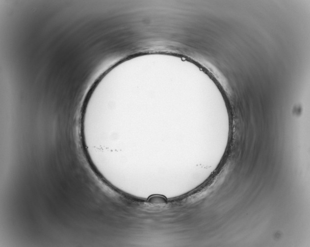 X0000101991285200808151415