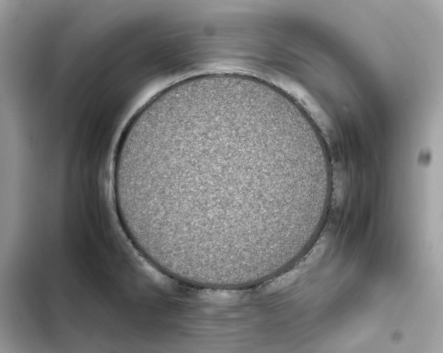 X0000101991286200808151415