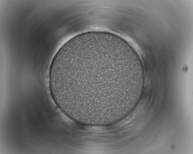 X0000101991287200808151415