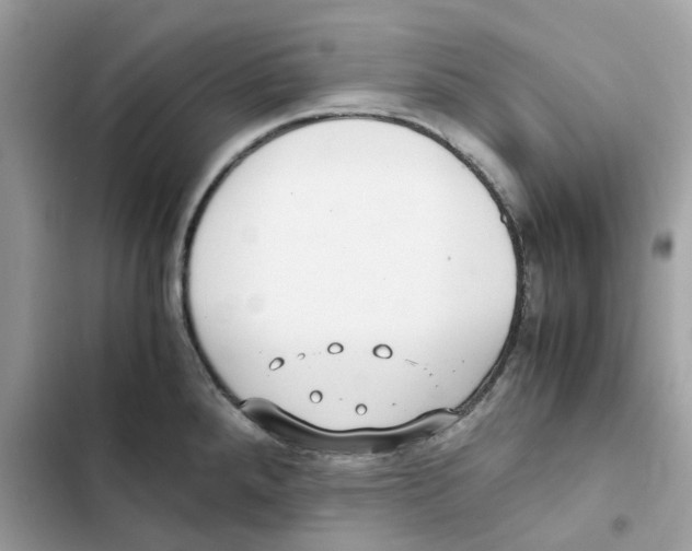 X0000101991288200808151415