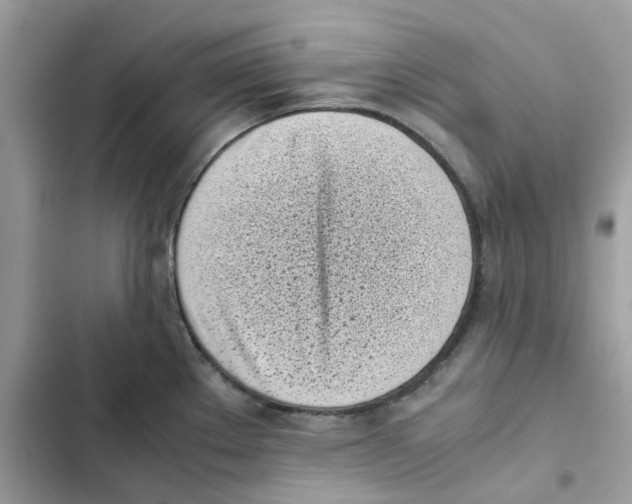 X0000101991289200808151415