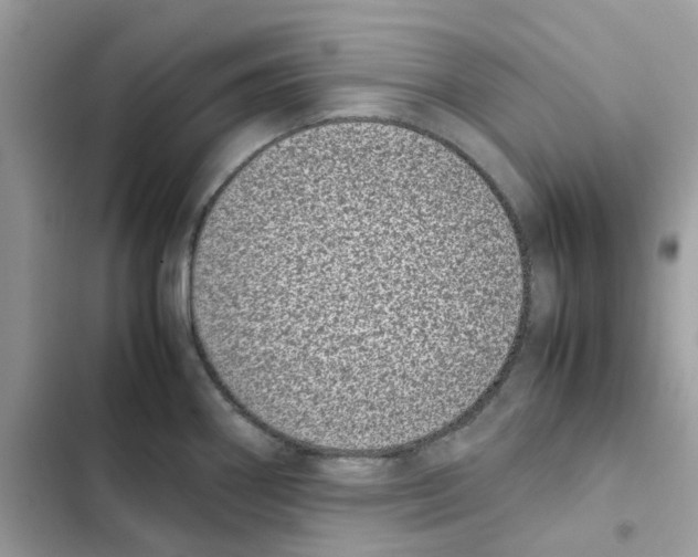 X0000101991290200808151415