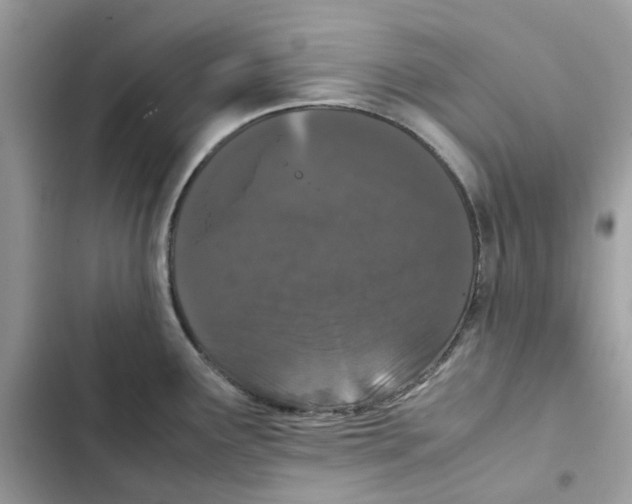 X0000101991291200808151415