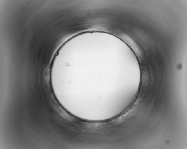 X0000101991292200808151415