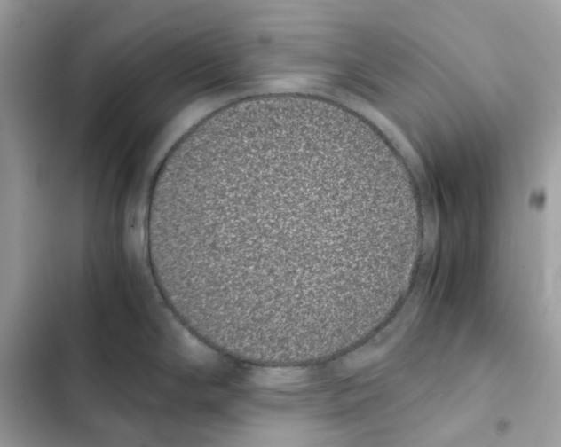X0000101991294200808151415