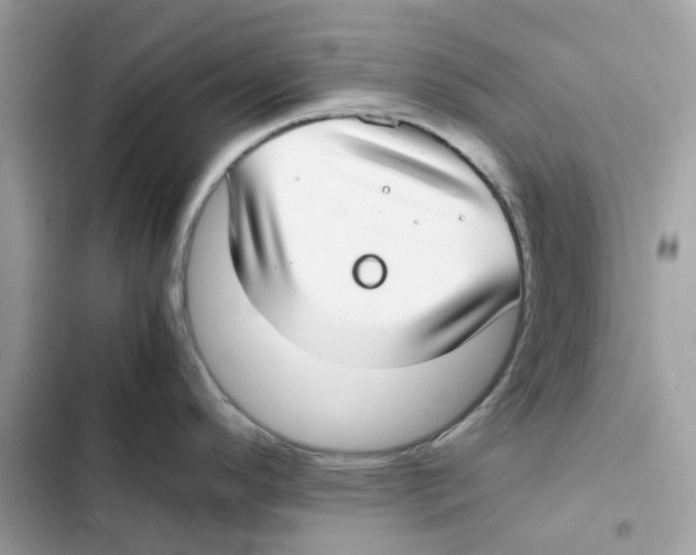 X0000101991296200808151415