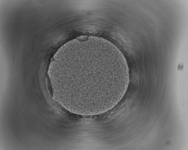 X0000101991297200808151414
