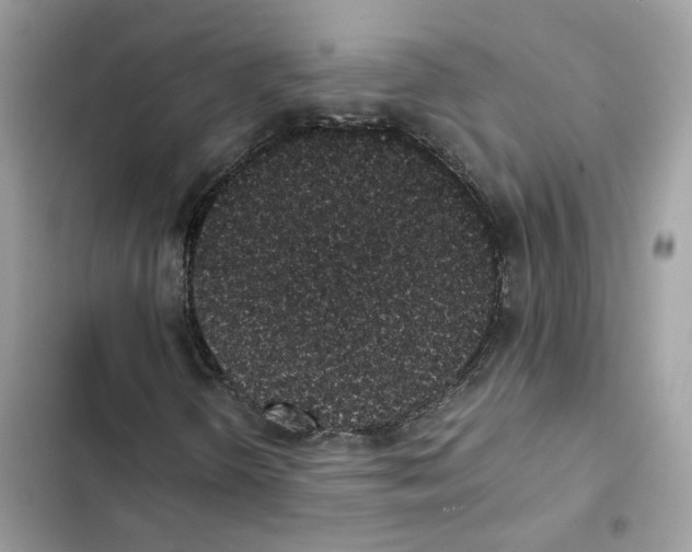X0000101991298200808151414