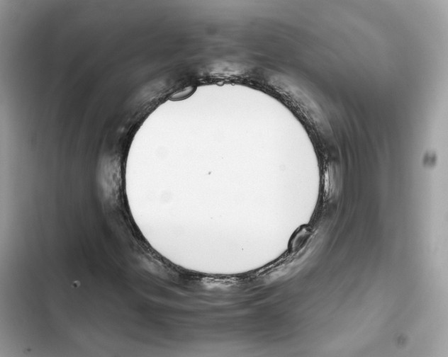 X0000101991299200808151414