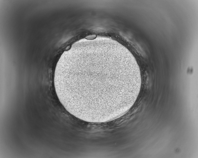 X0000101991301200808151414