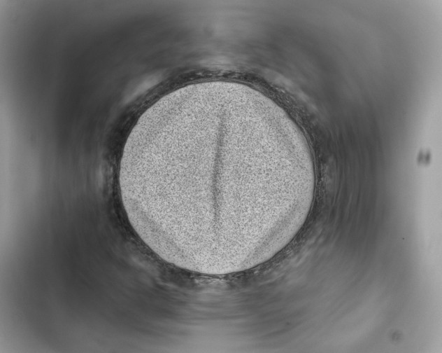 X0000101991302200808151414
