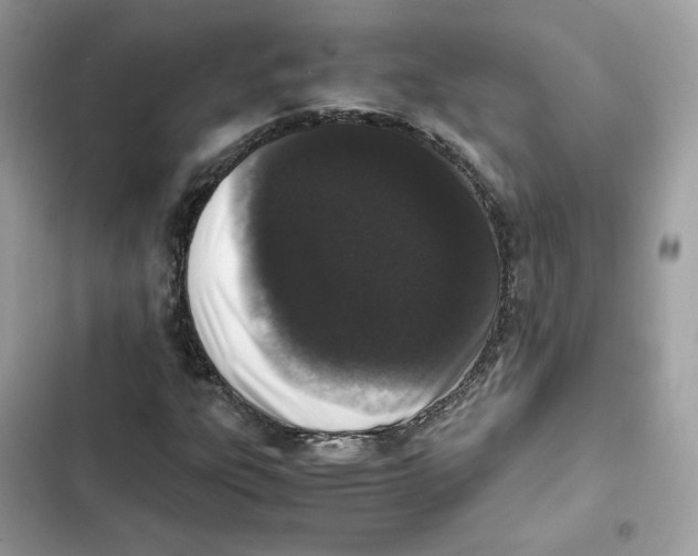 X0000101991303200808151415