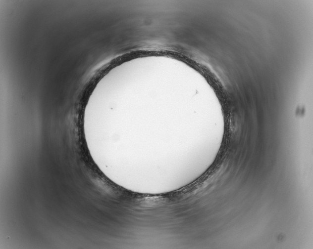 X0000101991304200808151415