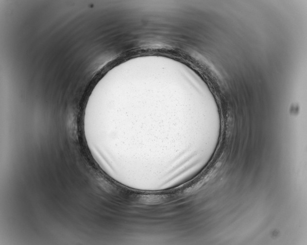 X0000101991305200808151415
