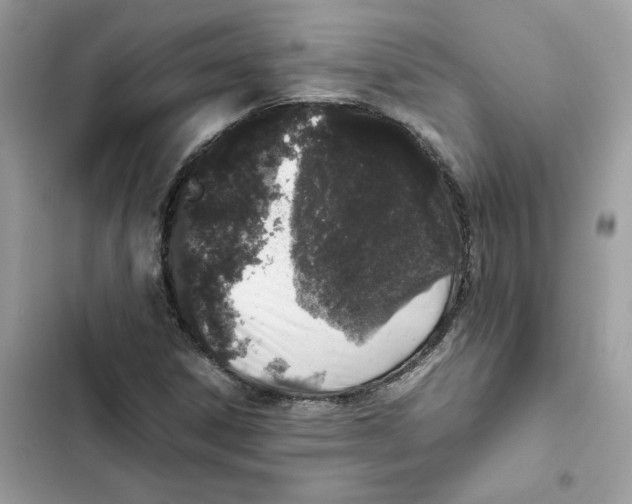 X0000101991306200808151415