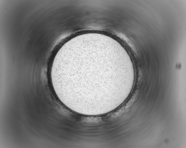 X0000101991307200808151415