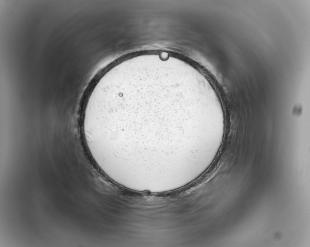 X0000101991308200808151415