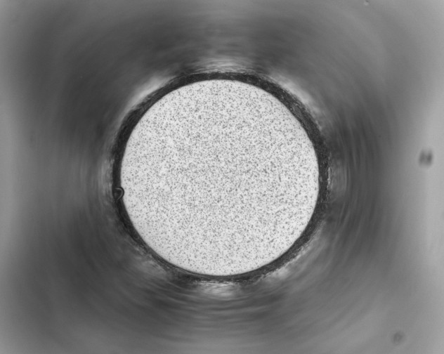 X0000101991309200808151415