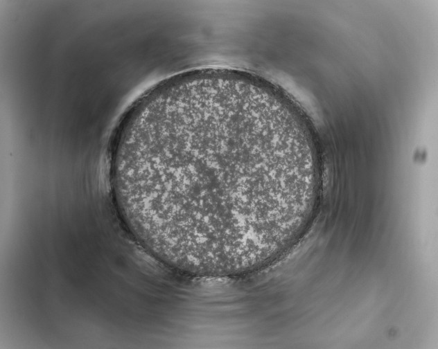 X0000101991310200808151415