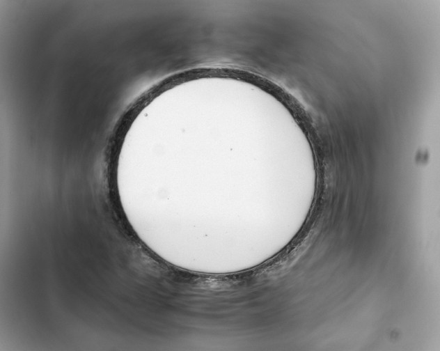 X0000101991311200808151415