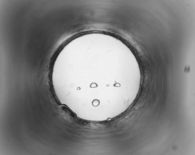X0000101991312200808151415
