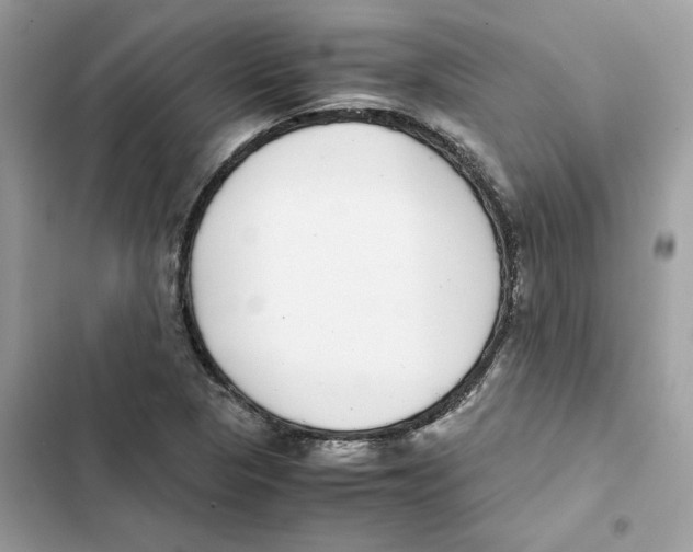 X0000101991313200808151415