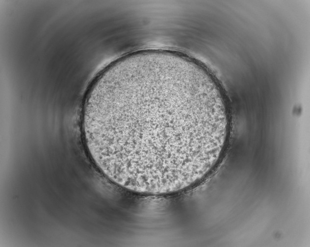 X0000101991314200808151415