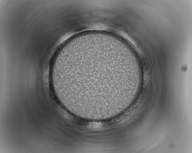 X0000101991315200808151415