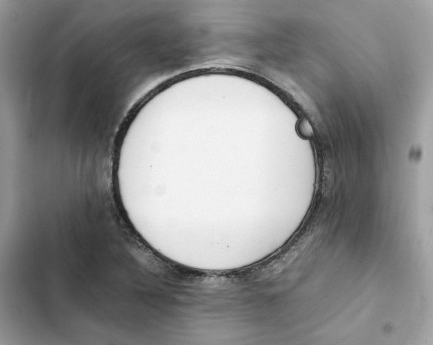 X0000101991316200808151415