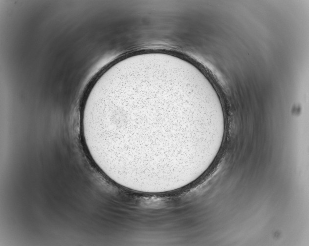 X0000101991317200808151415