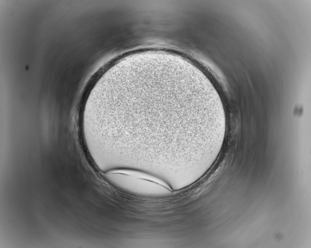 X0000101991318200808151415