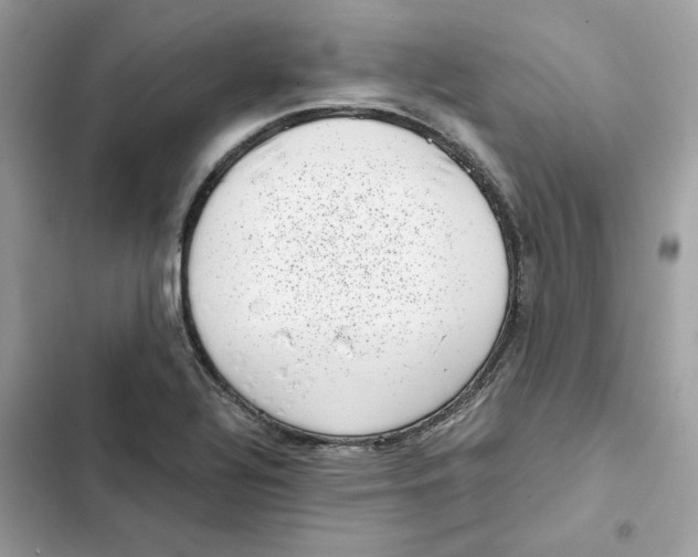 X0000101991320200808151415