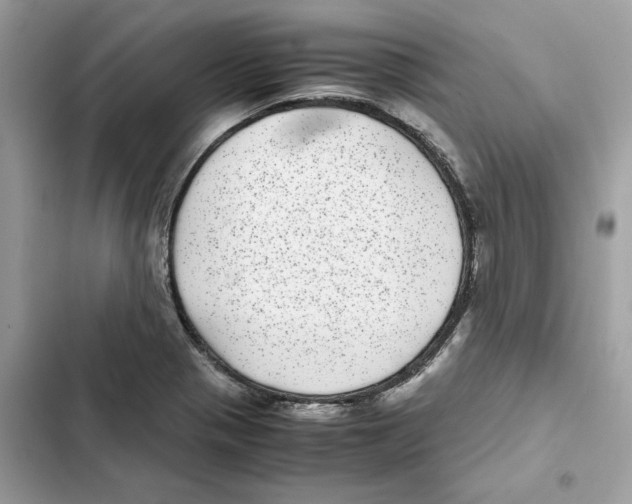 X0000101991321200808151415