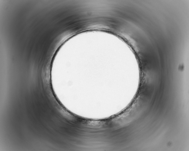 X0000101991322200808151415