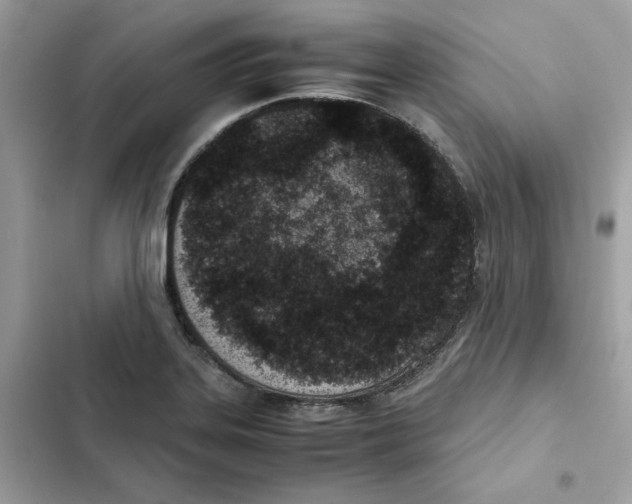 X0000101991323200808151415