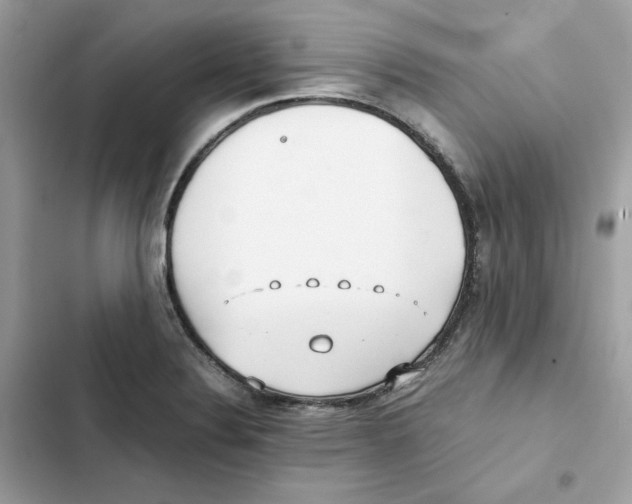 X0000101991324200808151415