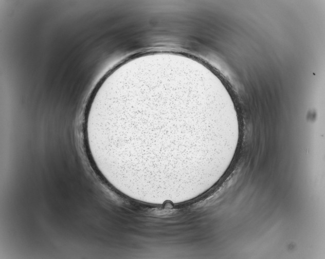 X0000101991325200808151415