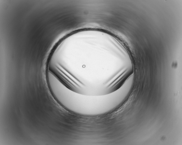 X0000101991326200808151415