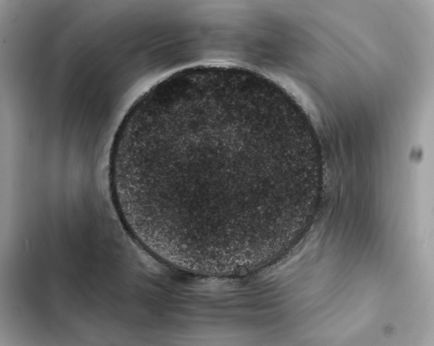 X0000101991327200808151415