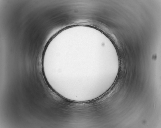 X0000101991328200808151415