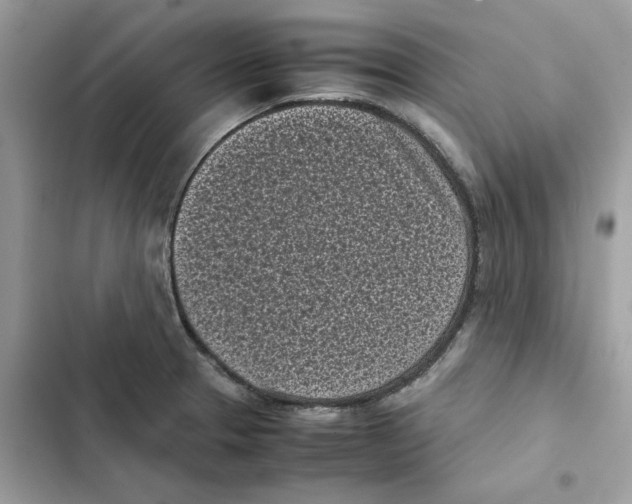 X0000101991329200808151415