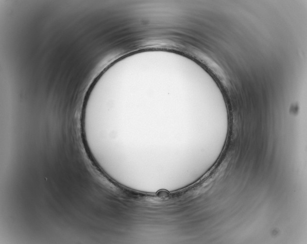 X0000101991330200808151415
