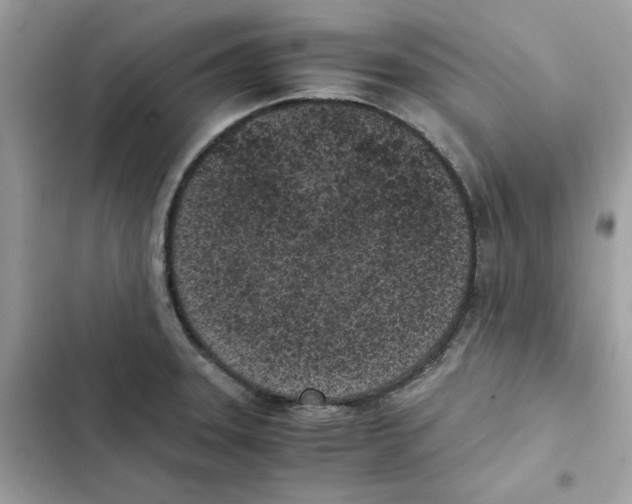 X0000101991331200808151415