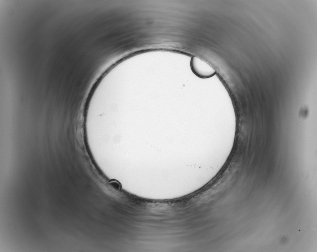 X0000101991332200808151415